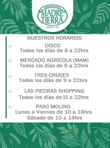 Imagen 3 de 3 de Harina Integral 1 Kg - Madre Tierra