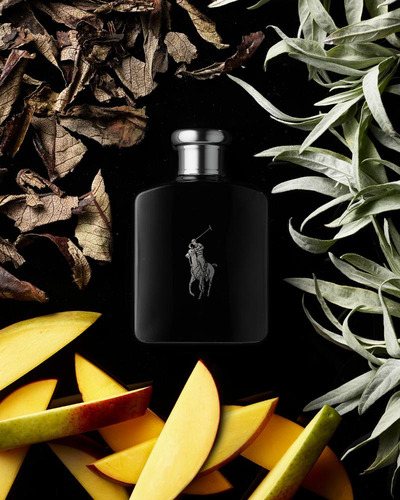 Polo Black Edt 75ml Para Hombre