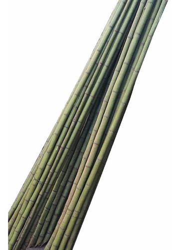 Caña Tacuara/bambu Paquete 10 Unidades X 2m De Alto -tigre