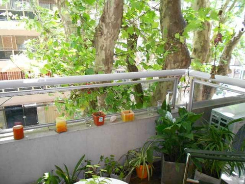 Departamento - Alquiler - 2 Ambientes - Balcón - Belgrano -