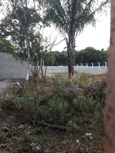 Chácara Em Formação A 200 Metros Da Rodovia - 0131 Ch
