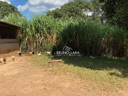 Imagem 23 de 30 de Sítio À Venda Em Igarapé Bairro Jardim Vila Rica - Si0095