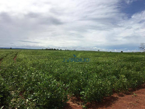 Imagem 3 de 11 de Fazenda Com 4 Dormitórios À Venda, 8712000 M² Por R$ 12.000.000,00 - Jardim Mariano - Barra Do Garças/mt - Fa0006