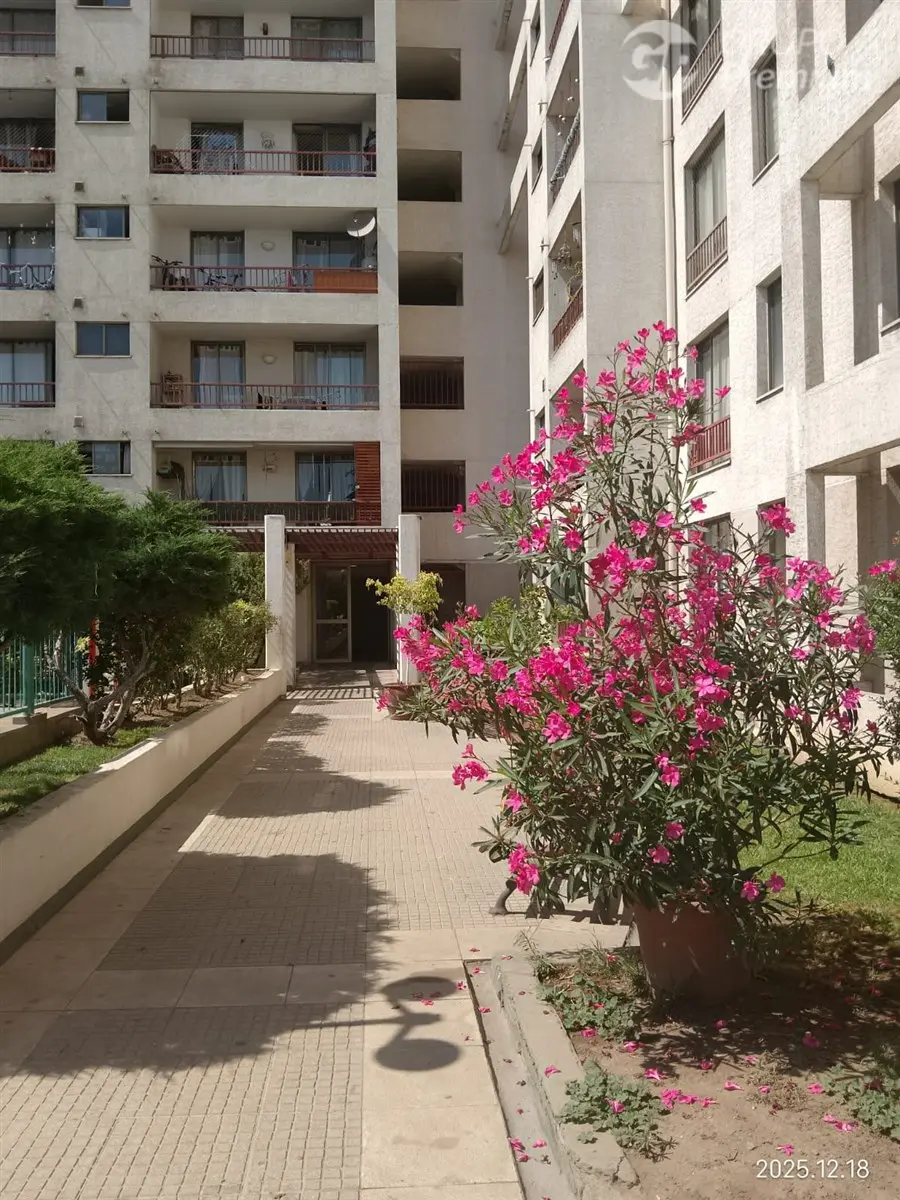 Imagen 1 de 21 de Gran Oportunidad Amplio Departamento 85 M2 Parque Los Reyes