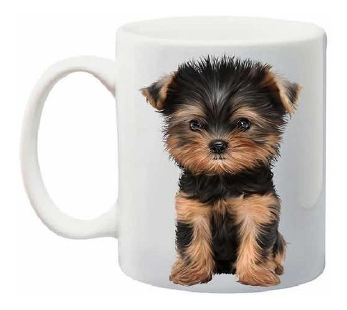Taza Café