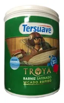 Comprar Barniz Al Agua Secado Rápido Satinado Tersuave 4l \u002F Camino 1