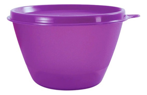 Pote Recipiente Para Heladera Tupperware 400 Ml.