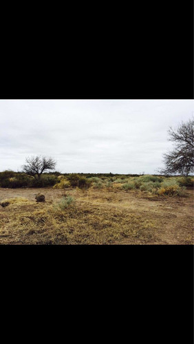 Imagen 6 de 7 de Finca Campo En Mendoza General Alvear 300 Hectareas C/riego