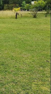 Imagen 2 de 3 de Terreno - Parque Las Naciones