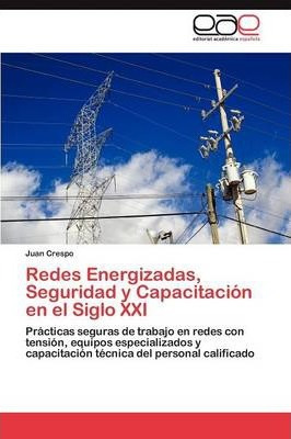 Libro Redes Energizadas, Seguridad Y Capacitacion En El S...