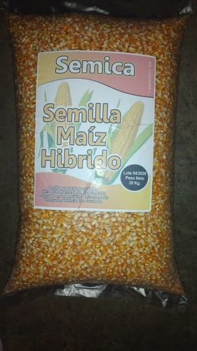 Semillas De Maiz Amarillo Certificadas