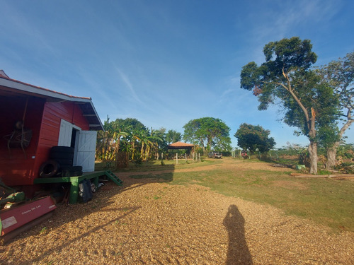 Sítio De 30 Ha Em Timburi, Sp