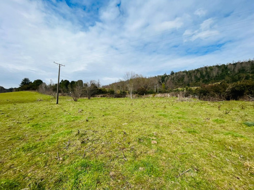 Se Vende Proyecto Aprobado Por Sag Panguipulli Los Lagos
