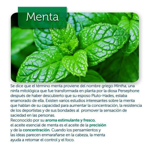 Imagen 6 de 6 de Swiss Just Aceite Esencial De Menta 10ml Producto Original