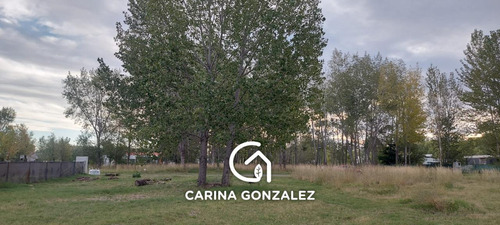 Venta De Lote En Barrio Cerrado_ Canales De Plottier