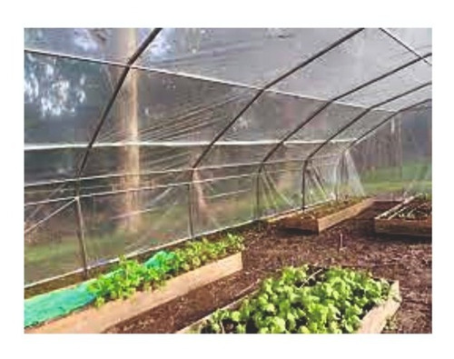 Imagen 6 de 7 de Nylon Invernaculo Agropecuario Uv - Ancho 4,20 Mts. Promo