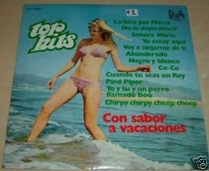 Top Hits Con Sabor A Vacaciones Vinilo 10 Puntos