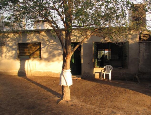 Imagen 2 de 9 de Campo - La Pampa Caleu Caleu