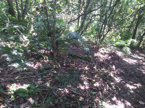 Imagem 3 de 13 de Chácara À Venda, 1164 M² Por R$ 350.000,00 - Ouro Fino - Santa Isabel/sp - Ch0068