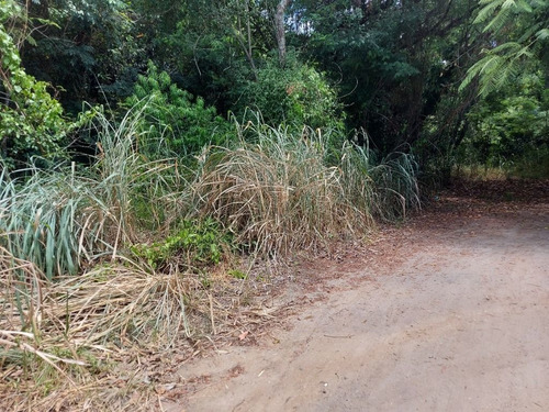 Imagem 10 de 24 de Terreno Em Caxito, Maricá/rj De 1060m² À Venda Por R$ 150.000,00 - Te2148374-s