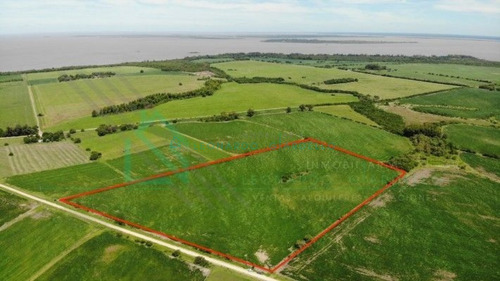 Imagen 8 de 8 de Martin Chico, Colonia - Campo Agricola A 20km De Carmelo
