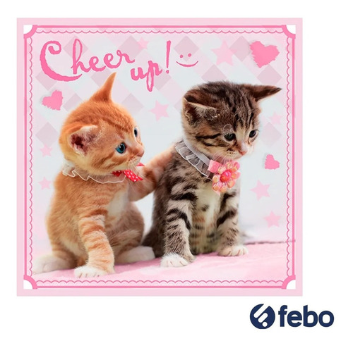 Juego Puzzle Gatitos 3 En 1 Trefl 50 Piezas Para Niños Febo