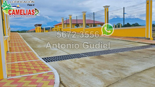 Lotes 8x16 Mts En Residenciales Camelias Fase 4