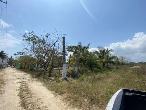 Renta Terreno 1120 M² Col. Isla De Los Potreros Tuxpan Veracruz