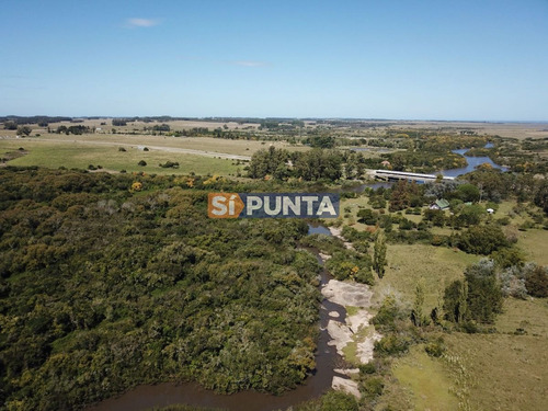 Imagen 1 de 13 de Campo En Garzón Venta Turístico