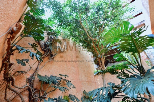 Imagen 13 de 30 de Campestre Tlacopac - Residencia En Venta / Residence For Sal