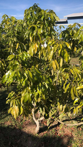 Viver Com A Natureza Não Tem Preço.
