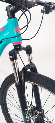 Imagen 2 de 5 de Bicicleta Fire Bird Mtb 21 Vel Plus Dm Rodado 29