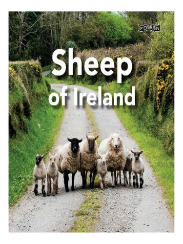 Sheep Of Ireland - Sarah O'connor. Eb05