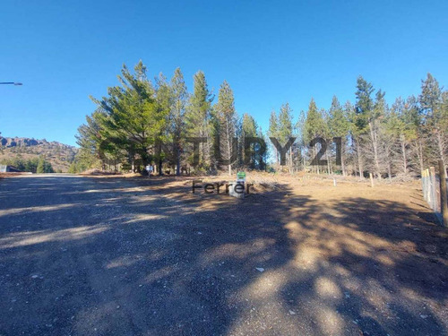 Imagen 13 de 14 de Lote En Venta - Bariloche - Dina Huapi - Loteo Dina Hue - Id: 46806
