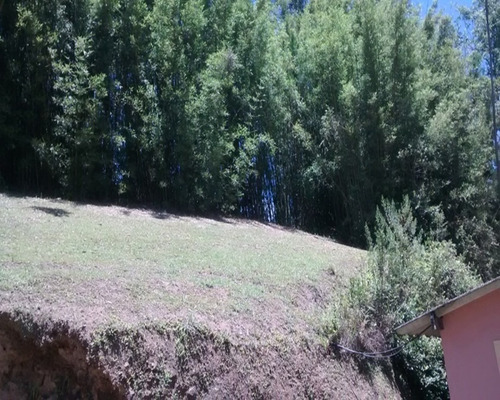 Imagem 21 de 23 de Sítio Rico Em Água, Paraíso Ecológico! - 156 - 32982609