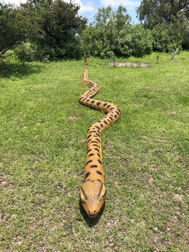 Animales Disecados 100% Artificiales VĂbora Anaconda