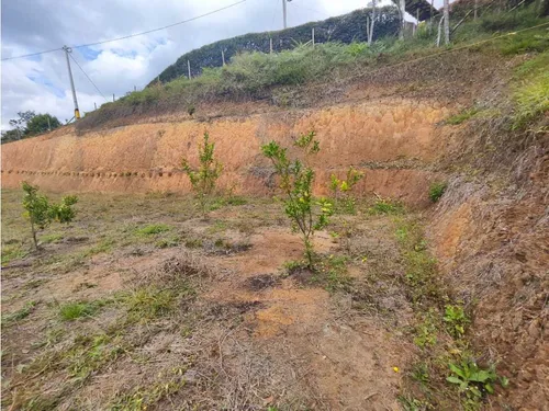 Lote En Rionegro Vereda La Playa