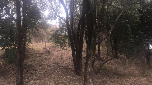 Imagen 2 de 2 de Terreno Venta Lomas De Mendiolaza