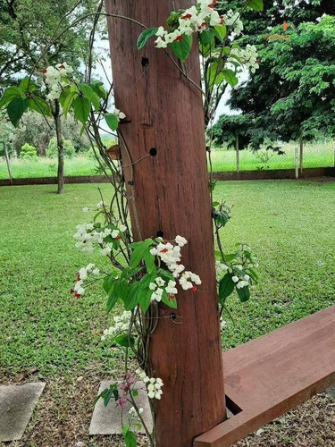 Ótimo Sitio Em Capela Do Alto No Bairro Do Jutuba Em Via Asfaltada - Si0013