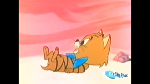 Ruff Y Reddy Serie Completa Hanna Barbera