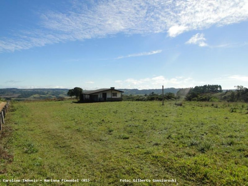 Área Rural Para Venda Em Mariana Pimentel, Boqueirão - 1153_1-779115