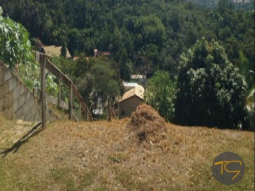 Imagem 3 de 9 de Terreno - Te00172 - 4688236