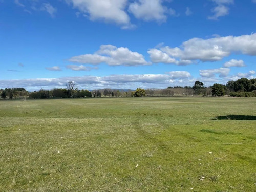 Venta Campo Agrícola Freire