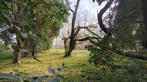 Venta Lote Terreno Chacras Canning 3278 M2 Totales