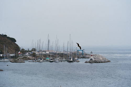 Costa Higuerillas