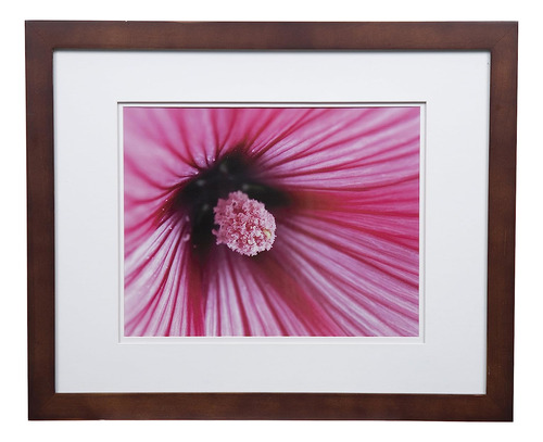 16x20 Flat Double Mat For 11x14 Photo, Wall Mount Pictu...