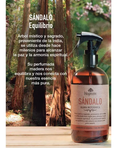 Sandalo 2019 sale