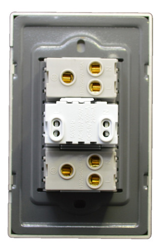 Imagen 4 de 4 de Contacto Duplex Y Usb Con Placa Color Gris