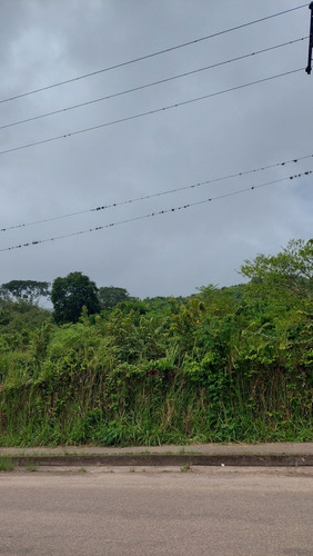 Imagen 3 de 4 de Finca Barrio El Río