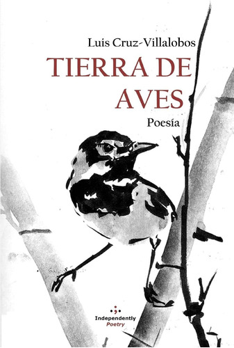 Libro: Tierra De Aves (libros De Fotopoesía Y Pictopoesía) (